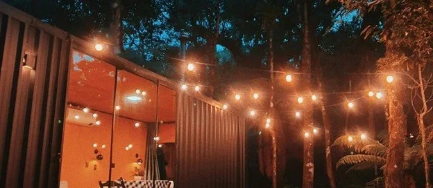 Backyard Landscape Lighting Installer in The National