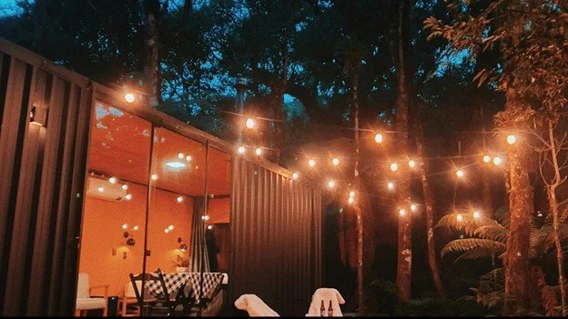 Backyard Landscape Lighting Installer in The National
