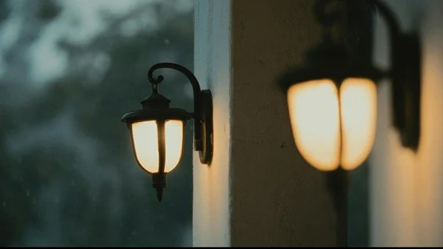 Backyard Landscape Lighting Installer in Shoal Creek
