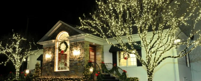 Backyard Landscape Lighting Installer in Kansas City