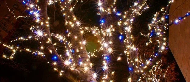 Christmas Light Company in Kansas City