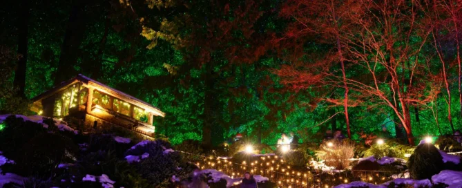 Custom Deck Lighting Company in Kansas City